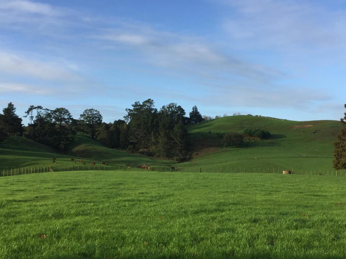 Veld View Bed And Breakfast Tuakau Екстер'єр фото
