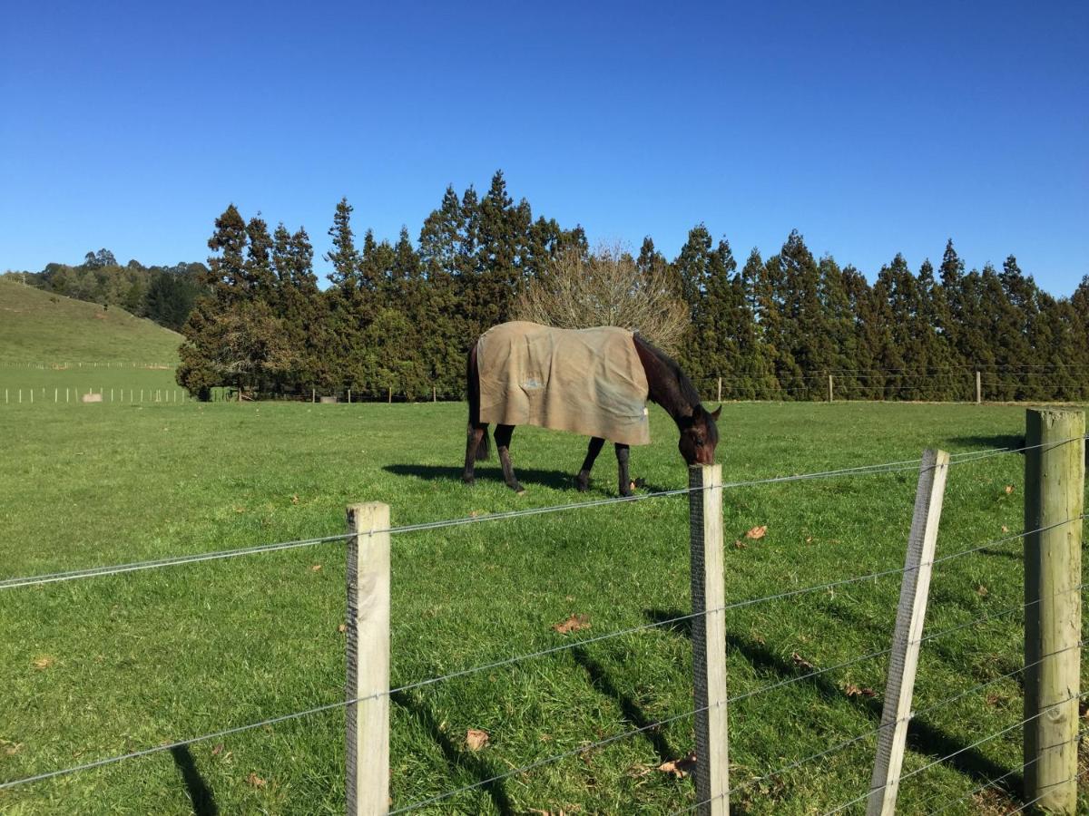 Veld View Bed And Breakfast Tuakau Екстер'єр фото