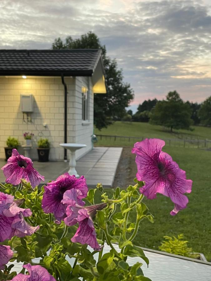 Veld View Bed And Breakfast Tuakau Екстер'єр фото