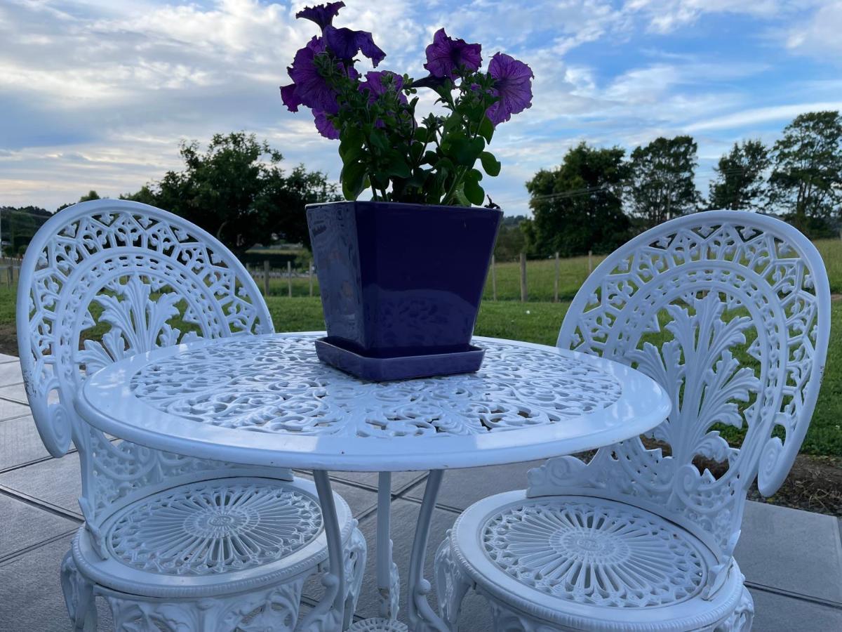 Veld View Bed And Breakfast Tuakau Екстер'єр фото