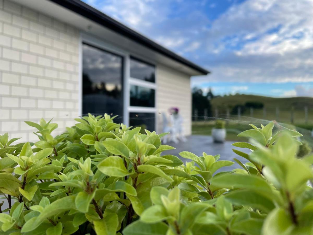 Veld View Bed And Breakfast Tuakau Екстер'єр фото